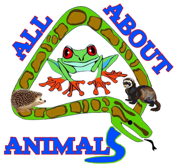 All About Animals LLC
